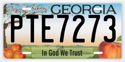 GA license plate PTE7273