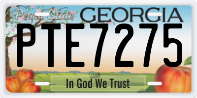 GA license plate PTE7275
