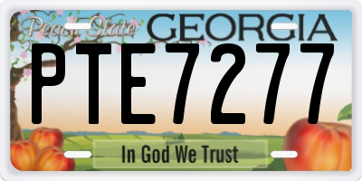 GA license plate PTE7277