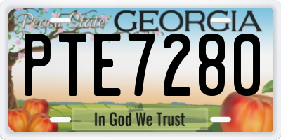 GA license plate PTE7280