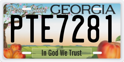 GA license plate PTE7281