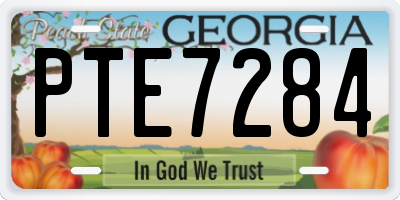 GA license plate PTE7284