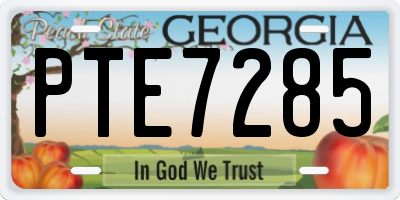 GA license plate PTE7285