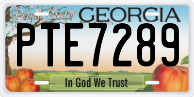 GA license plate PTE7289