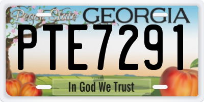 GA license plate PTE7291