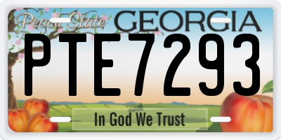 GA license plate PTE7293