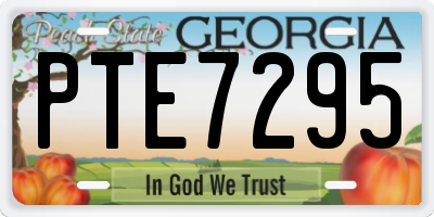 GA license plate PTE7295