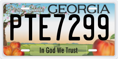 GA license plate PTE7299