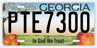 GA license plate PTE7300