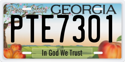 GA license plate PTE7301