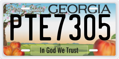 GA license plate PTE7305