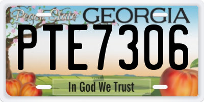 GA license plate PTE7306