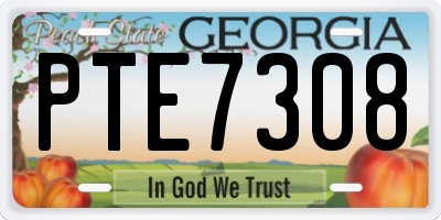GA license plate PTE7308