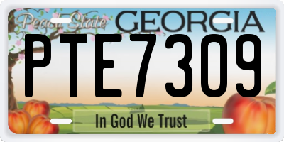 GA license plate PTE7309