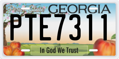 GA license plate PTE7311