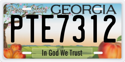 GA license plate PTE7312