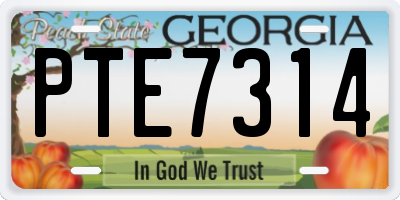 GA license plate PTE7314