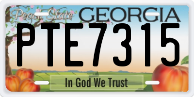 GA license plate PTE7315
