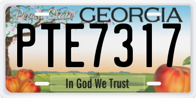 GA license plate PTE7317