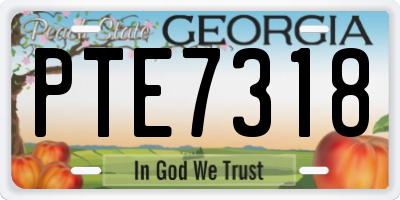GA license plate PTE7318