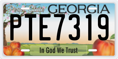 GA license plate PTE7319