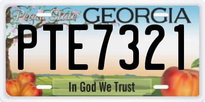 GA license plate PTE7321