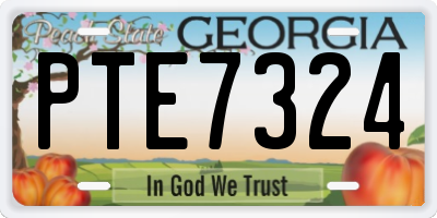 GA license plate PTE7324