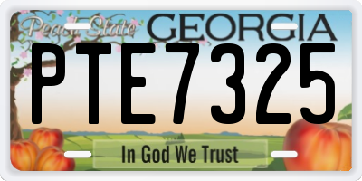 GA license plate PTE7325