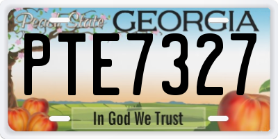 GA license plate PTE7327