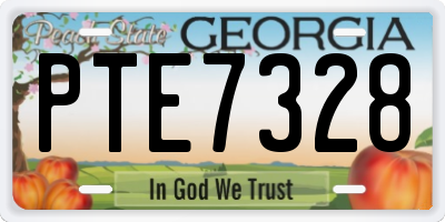 GA license plate PTE7328