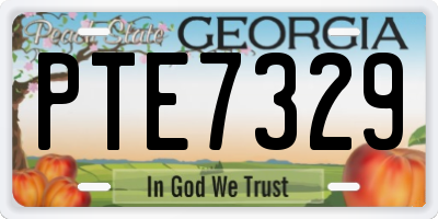GA license plate PTE7329