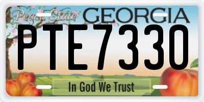 GA license plate PTE7330