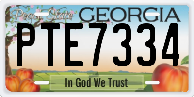 GA license plate PTE7334
