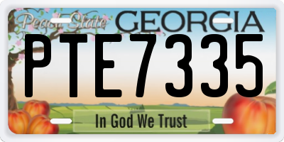 GA license plate PTE7335