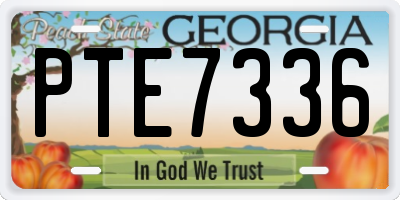 GA license plate PTE7336