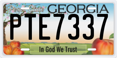 GA license plate PTE7337