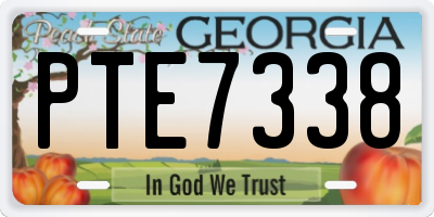 GA license plate PTE7338