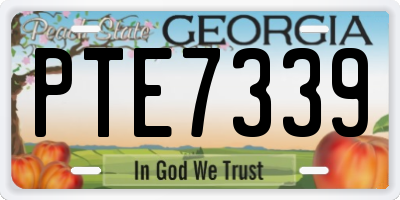 GA license plate PTE7339