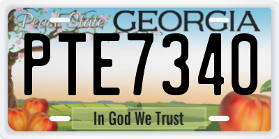 GA license plate PTE7340