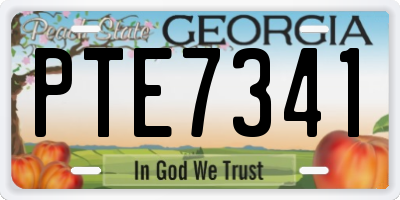GA license plate PTE7341