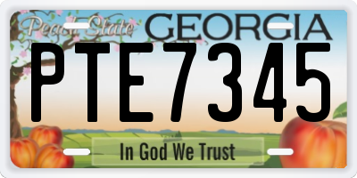GA license plate PTE7345