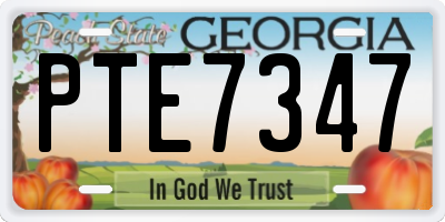 GA license plate PTE7347
