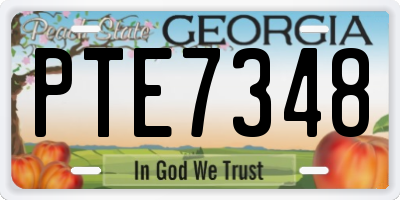 GA license plate PTE7348