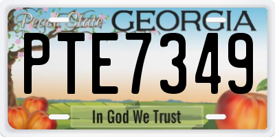 GA license plate PTE7349