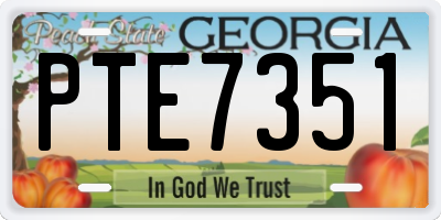 GA license plate PTE7351