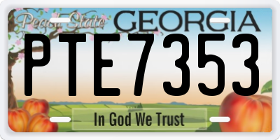GA license plate PTE7353