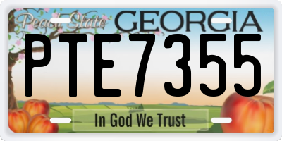 GA license plate PTE7355
