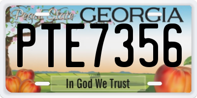 GA license plate PTE7356
