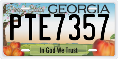 GA license plate PTE7357
