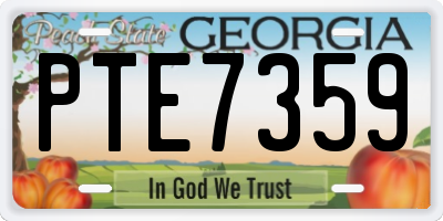 GA license plate PTE7359